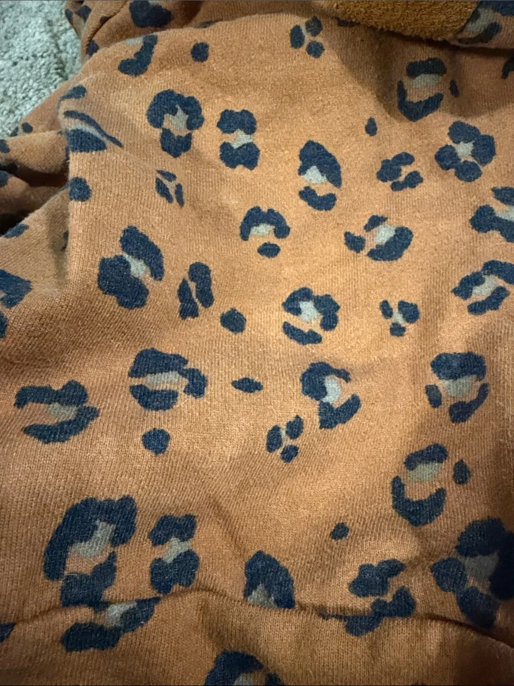 Lulu + Roo (Little Road Co) Kids Leopard-Print Matching Set 3T